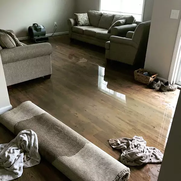 Flood Restoration in Chandler, AZ