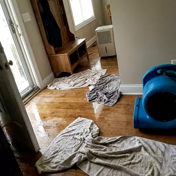 Water Mitigation in Chandler, AZ