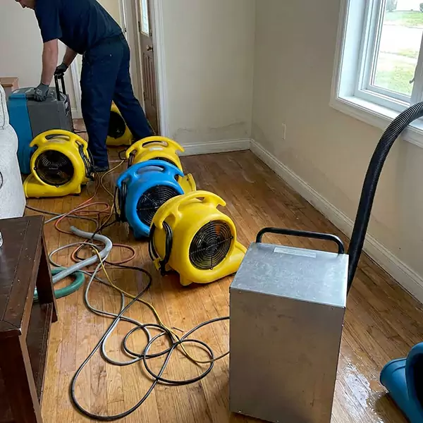 Water Mitigation Services in Chandler, AZ