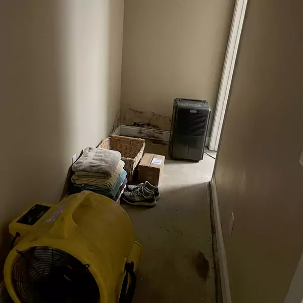 Expert Water Remediation in Chandler, AZ 