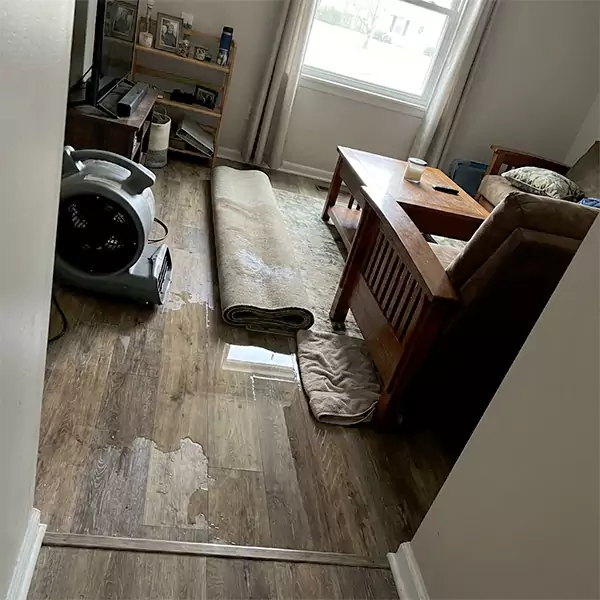 Water Restoration in Chandler, AZ