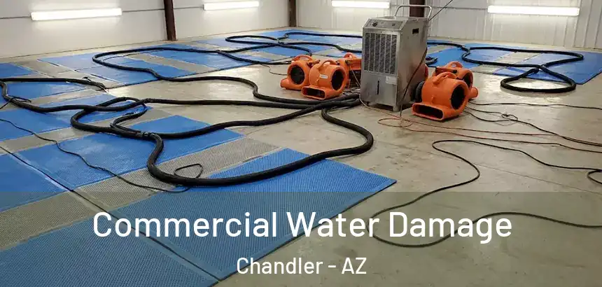 Commercial Water Damage Chandler - AZ