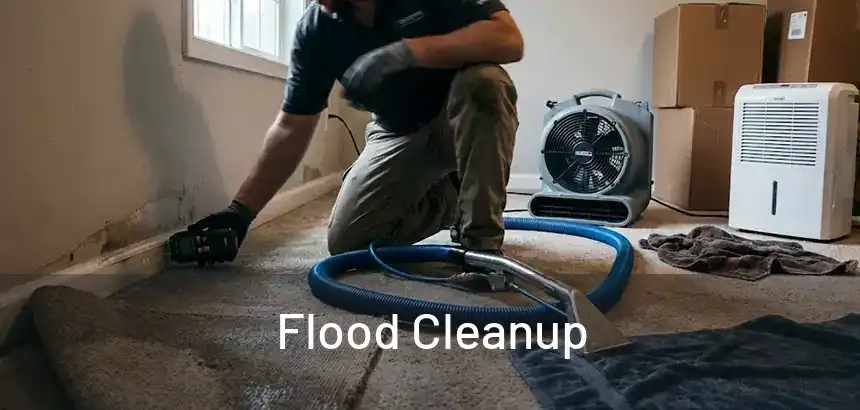  Flood Cleanup 