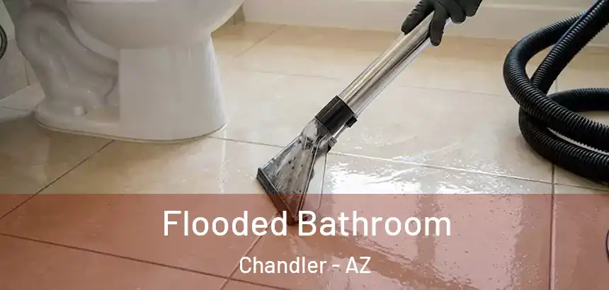  Flooded Bathroom Chandler - AZ