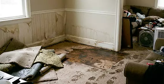 Why Choose Water Damage Chandler AZ For Water Damage Restoration Services in Chandler, AZ?