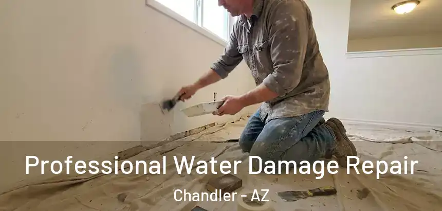 Professional Water Damage Repair Chandler - AZ