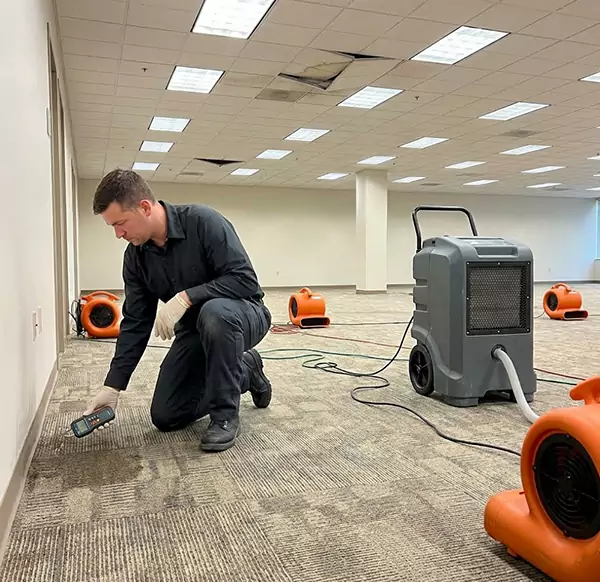 Why Businesses Choose Water Damage Chandler AZ for Commercial Water Damage in Chandler, AZ?