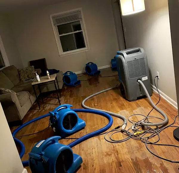 Why Homeowners & Businesses Choose Water Damage Chandler AZ for Emergency Water Restoration in Chandler, AZ?