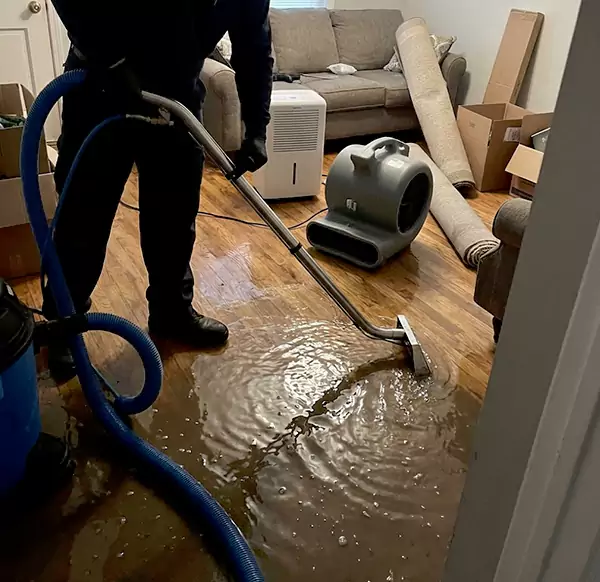 Why Homeowners & Businesses Choose Water Damage Chandler AZ for Flood Cleanup in Chandler, AZ?