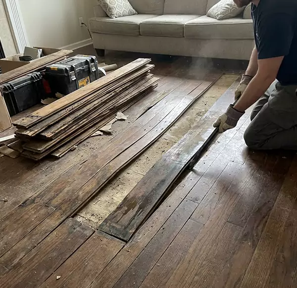 Why Choose Water Damage Chandler AZ for Wood Floor Water Damage Repair in Chandler, AZ?