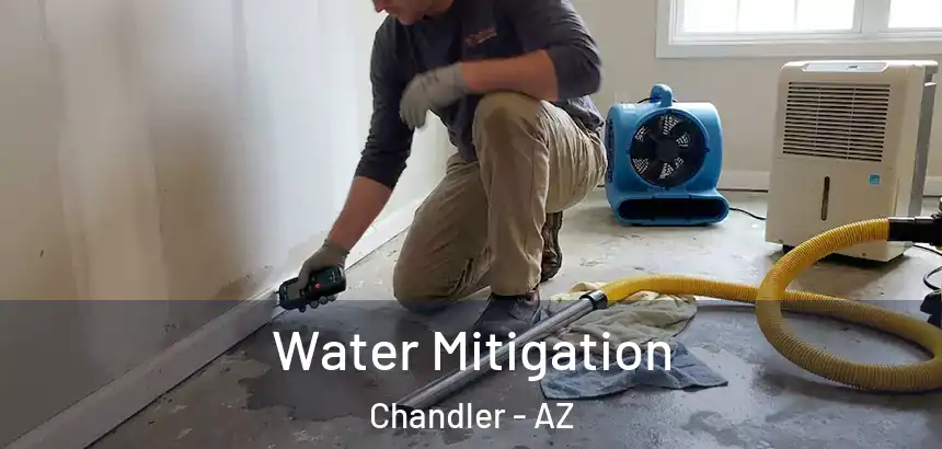  Water Mitigation Chandler - AZ
