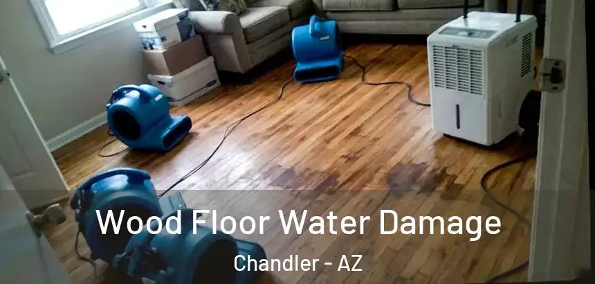  Wood Floor Water Damage Chandler - AZ